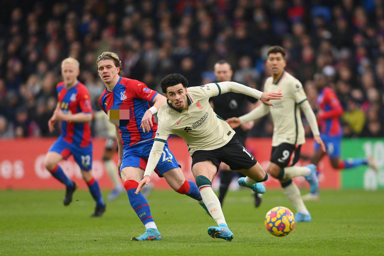 也发挥了重 也发挥了重